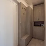 Apartament Fancy Penthouse With Lakeview W10 Bucureşti